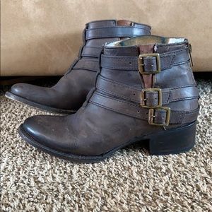 Freebird by Steven “soar”